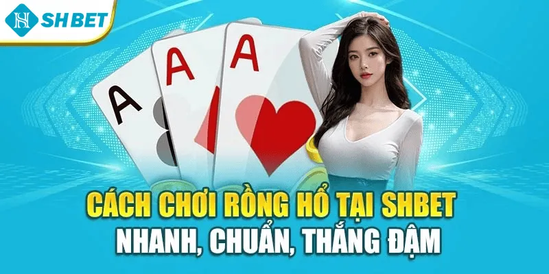 Cách Chơi Rồng Hổ Tại Shbet – Nhanh, Chuẩn, Thắng Đậm